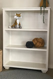 Low Bookshelf with 3 Shelves